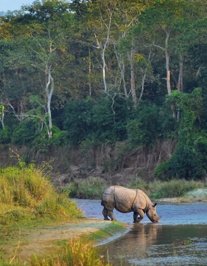 Kathmandu to Chitwan Bus Ticket Booking Open for Dashain 2083