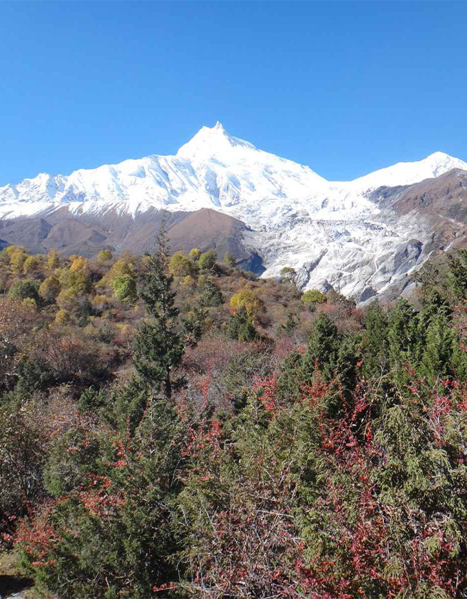 Makalu Base Camp Trek Guide (2026): Itinerary, Cost, Difficulty & Travel Tips